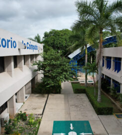 Instituto Tecnológico de la Costa Grande